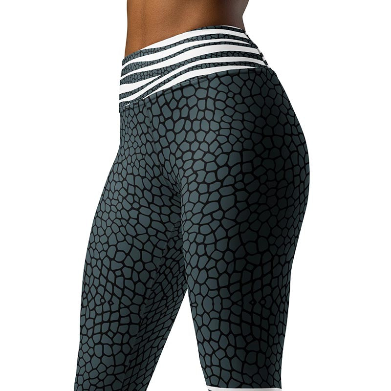Wild Mesh Leggings